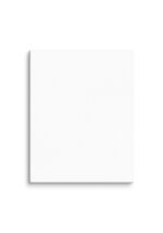Canvas (in) (Horizontal) - Image 4