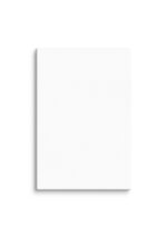 Canvas (in) (Horizontal) - Image 32