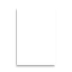 Paper Poster (in) | Luster - Vertical