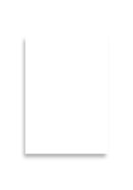 Paper Poster (in) | Luster - Vertical - Image 4
