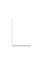 Paper Poster (in) | Luster - Horizontal - Image 5
