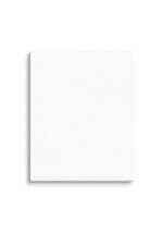 Canvas (in) (Horizontal) - Image 45